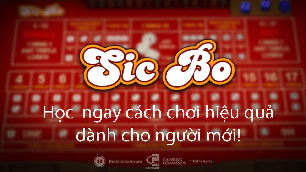 Hướng dẫn cách chơi Sicbo hiệu quả