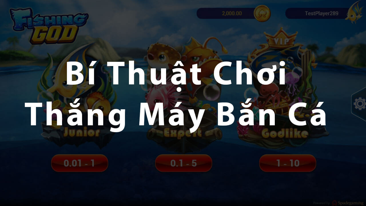 Bí quyết chơi thắng máy bắn cá