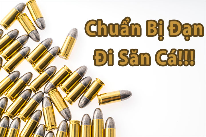 Chuẩn bị đạn trước khi bắn cá