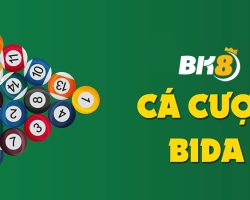 Bida là gì và cách cá cược bida tại nhà cái BK8 như thế nào?