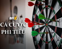 Cá cược phi tiêu là gì? Cách chơi từ bet thủ lâu năm