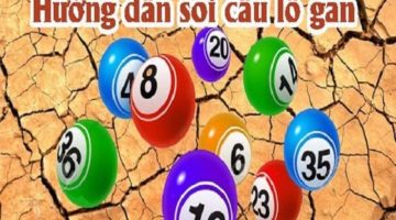 Lô gan là gì? - Các phương pháp soi lô gan hiệu quả