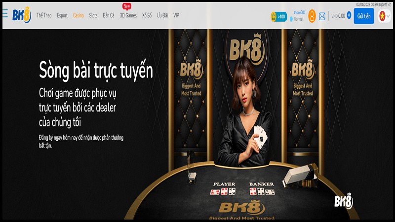 Game Bài Xì Dách Và Mẹo Chơi Trên Live Casino Của BK8